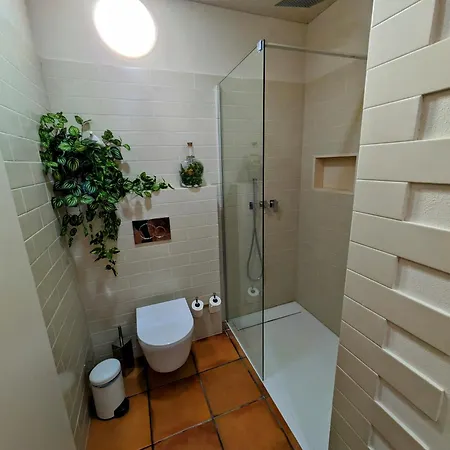 Ferienhaus Casa De Ladrido Felgueiras