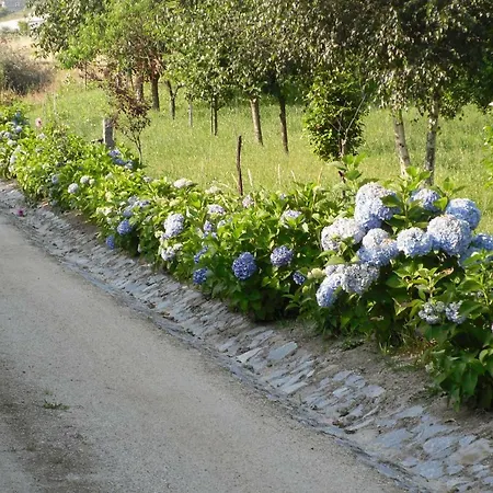 Hébergement de vacances Casa De Ladrido