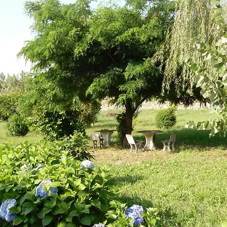 Casa vacanze Casa De Ladrido Felgueiras