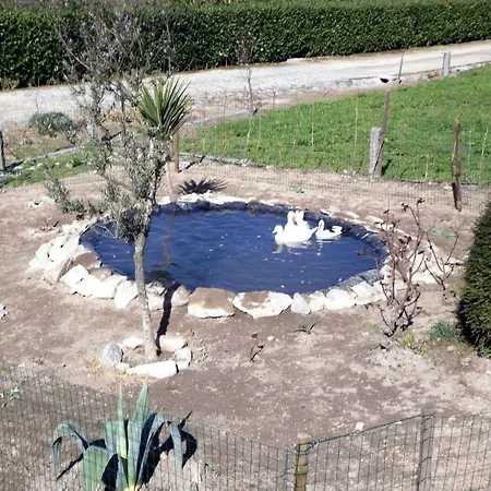 Casa De Ladrido Дом отдыха