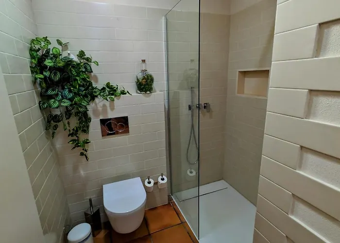 Дом отдыха Casa De Ladrido Фелгейраш