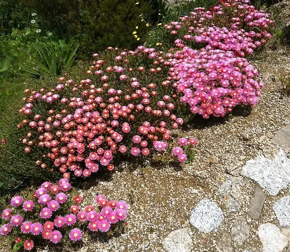 Casa De Ladrido 펜션 펠게이라스