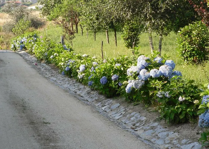 Дом отдыха Casa De Ladrido