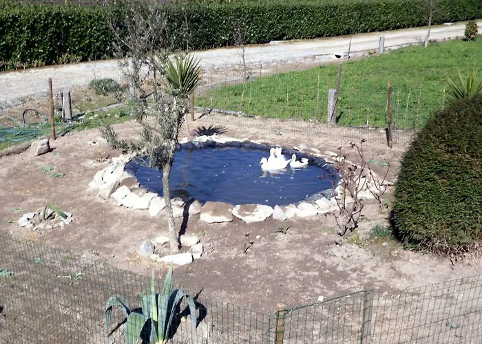 Casa De Ladrido 펜션